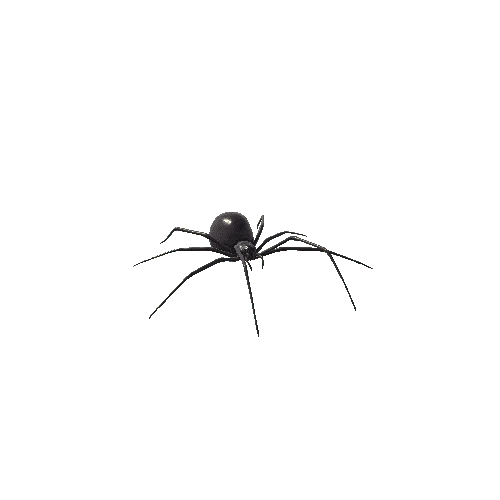 Spider_01_Black Widow
